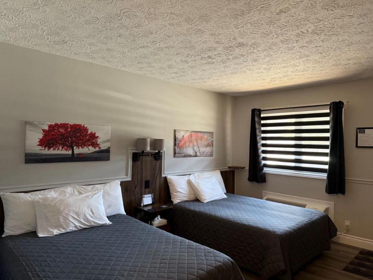 Auberge Micky Inc Edmundston Eksteriør bilde